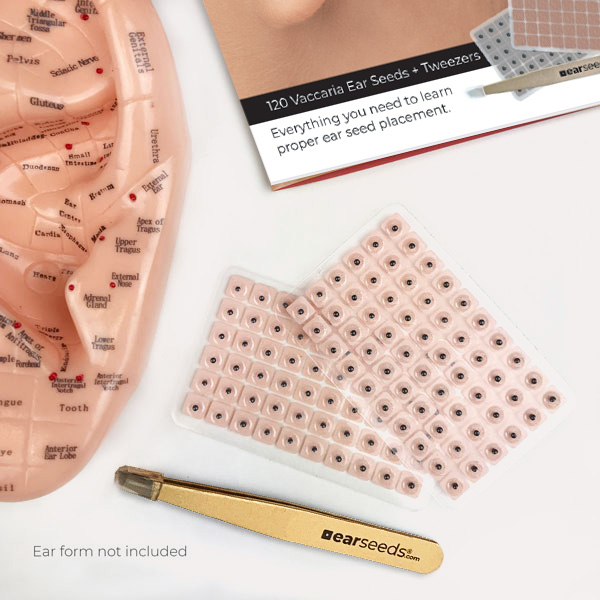 Printable Ear Seed Placement Chart Ubicaciondepersonas Cdmx Gob Mx