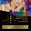 Chakra Colored Swarovski Crystals