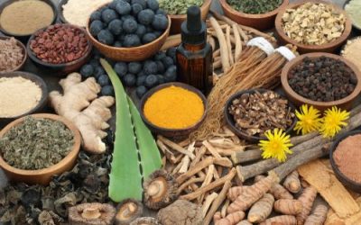 The Science Behind Adaptogens