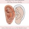 The ear is a microsystem