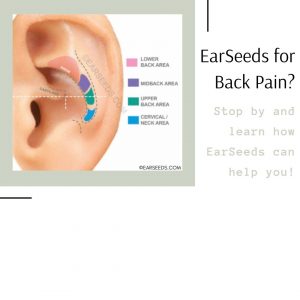pain earseeds ear seeds