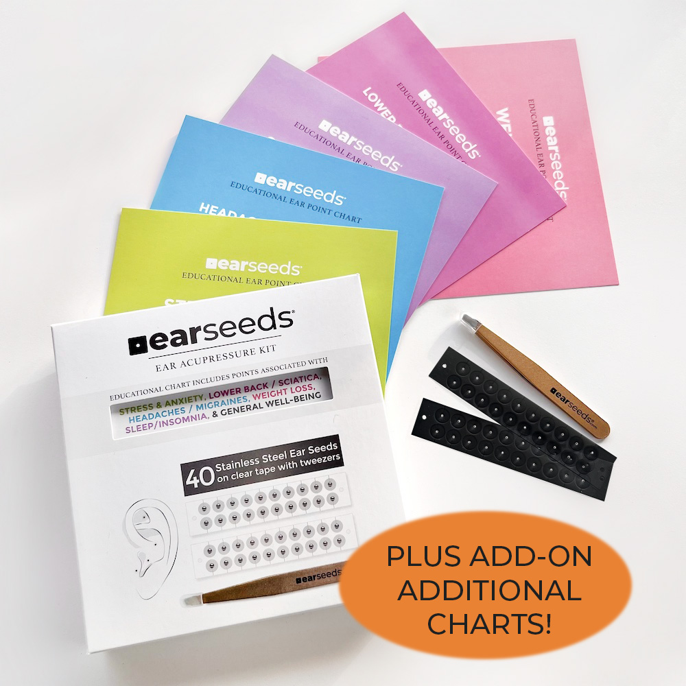Stainless Steel Ear Seeds Kit