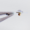 Close up with clear crystal ear seed