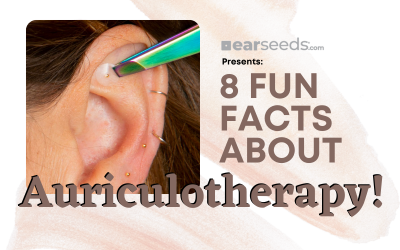 8 Fun Facts About Auriculotherapy