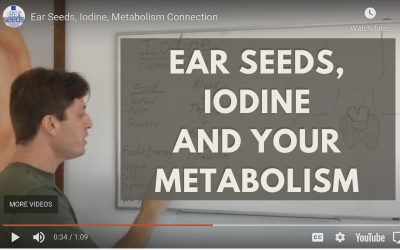 Ear Seeds, Iodine, Metabolism