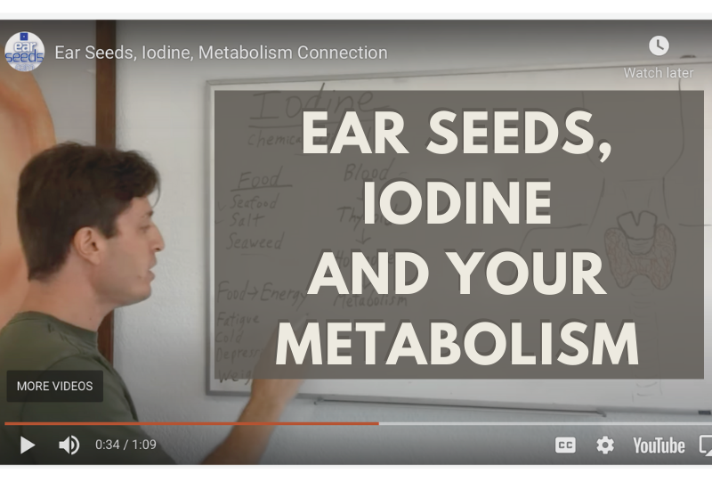 Ear Seeds, Iodine, Metabolism