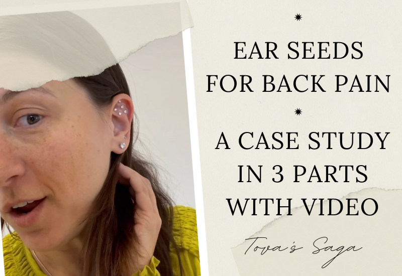 Ear Seeds for Back Pain Ear Seeds for Back Pain