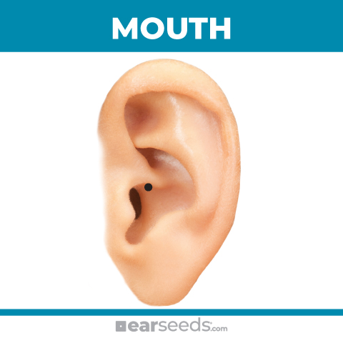 mouth-point mouth-point