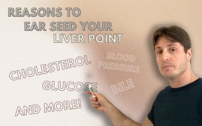 Several Reasons to Place Ear Seeds on your Auricular Liver Point