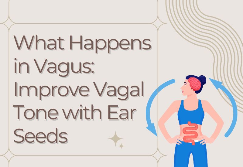 What Happens in Vagus: Improve Vagal Tone with Ear Seeds