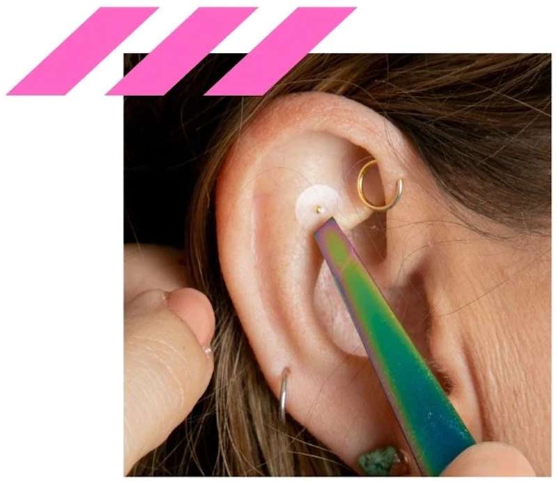 Place-Sparked-earseeds-Homepage Place-Sparked-earseeds-Homepage